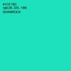 #1CE1BC - Shamrock Color Image