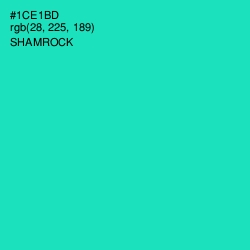 #1CE1BD - Shamrock Color Image