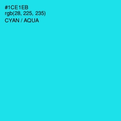 #1CE1EB - Cyan / Aqua Color Image