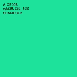 #1CE29B - Shamrock Color Image