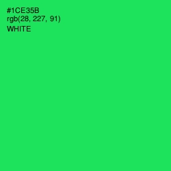 #1CE35B - Malachite Color Image