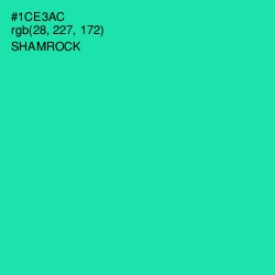 #1CE3AC - Shamrock Color Image