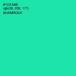 #1CE4AB - Shamrock Color Image