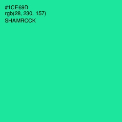 #1CE69D - Shamrock Color Image