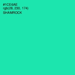 #1CE6AE - Shamrock Color Image