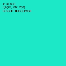 #1CE8C8 - Bright Turquoise Color Image