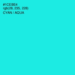 #1CEBE4 - Cyan / Aqua Color Image