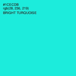 #1CECDB - Bright Turquoise Color Image