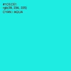#1CECE1 - Cyan / Aqua Color Image