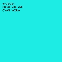 #1CECE4 - Cyan / Aqua Color Image