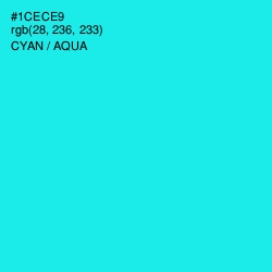 #1CECE9 - Cyan / Aqua Color Image