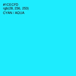 #1CECFD - Cyan / Aqua Color Image