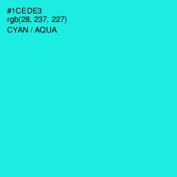 #1CEDE3 - Cyan / Aqua Color Image