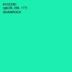 #1CEEB1 - Shamrock Color Image