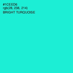#1CEED6 - Bright Turquoise Color Image