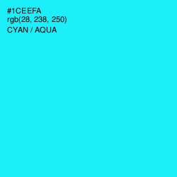 #1CEEFA - Cyan / Aqua Color Image