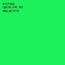 #1CF05A - Malachite Color Image