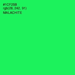 #1CF25B - Malachite Color Image