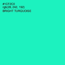 #1CF2C0 - Bright Turquoise Color Image