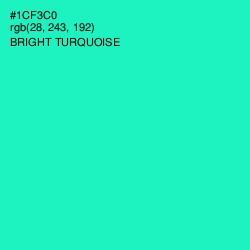 #1CF3C0 - Bright Turquoise Color Image