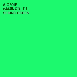 #1CF96F - Spring Green Color Image