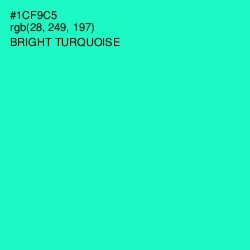 #1CF9C5 - Bright Turquoise Color Image