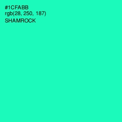 #1CFABB - Shamrock Color Image