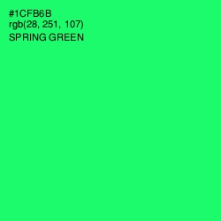 #1CFB6B - Spring Green Color Image