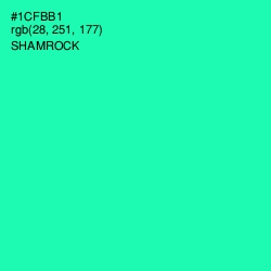 #1CFBB1 - Shamrock Color Image