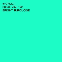 #1CFCC7 - Bright Turquoise Color Image