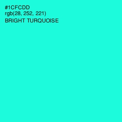 #1CFCDD - Bright Turquoise Color Image