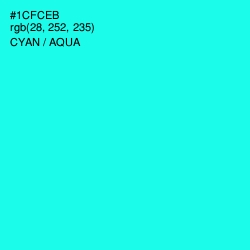 #1CFCEB - Cyan / Aqua Color Image