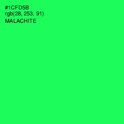 #1CFD5B - Malachite Color Image