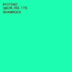 #1CFDAD - Shamrock Color Image