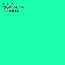 #1CFEAF - Shamrock Color Image