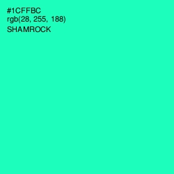 #1CFFBC - Shamrock Color Image