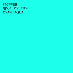 #1CFFEB - Cyan / Aqua Color Image