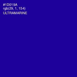 #1D019A - Ultramarine Color Image