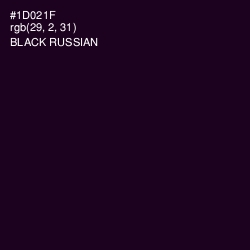 #1D021F - Black Russian Color Image