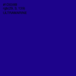 #1D038B - Ultramarine Color Image