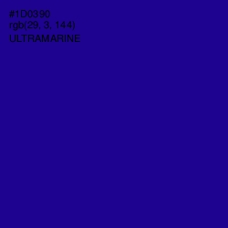 #1D0390 - Ultramarine Color Image