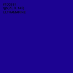 #1D0391 - Ultramarine Color Image