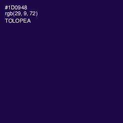 #1D0948 - Tolopea Color Image