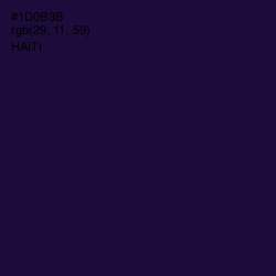 #1D0B3B - Haiti Color Image