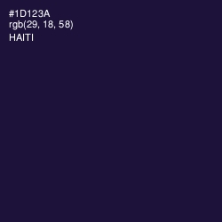 #1D123A - Haiti Color Image