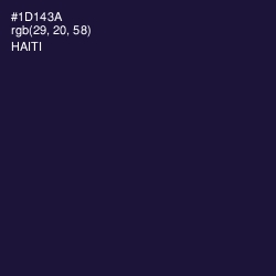 #1D143A - Haiti Color Image