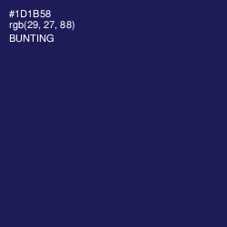 #1D1B58 - Bunting Color Image