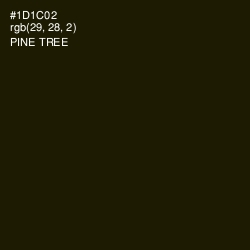 #1D1C02 - Pine Tree Color Image