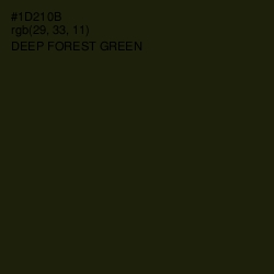 #1D210B - Deep Forest Green Color Image