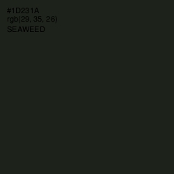 #1D231A - Seaweed Color Image